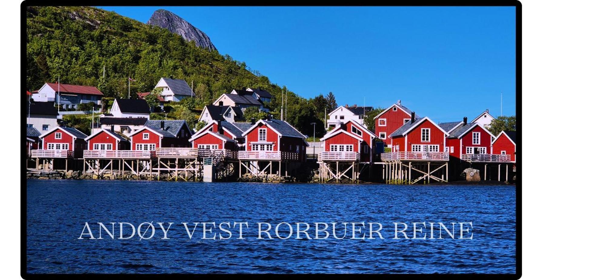 Andoy Vest Rorbuer Lodge